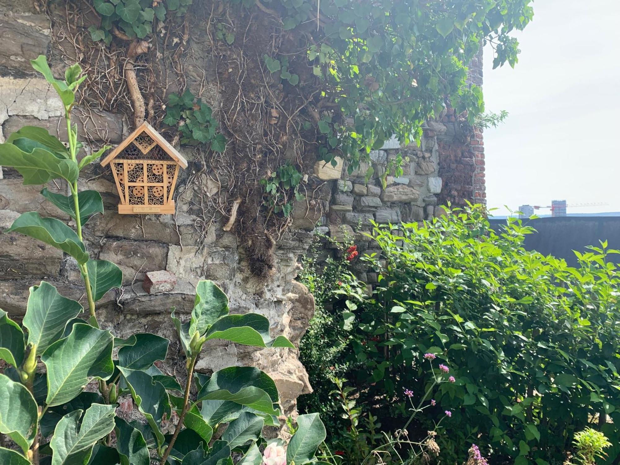 Bonjour Pierreuse Otel Liège Dış mekan fotoğraf